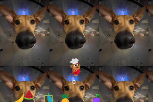 collect ingredients for dog
