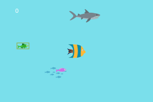 free fresh fish!