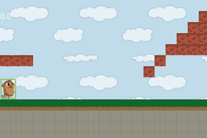 monkey escape