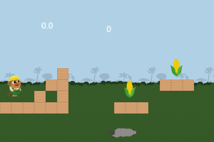 Farmer