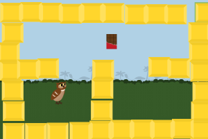 chocolate rush