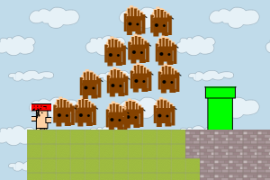 super mario